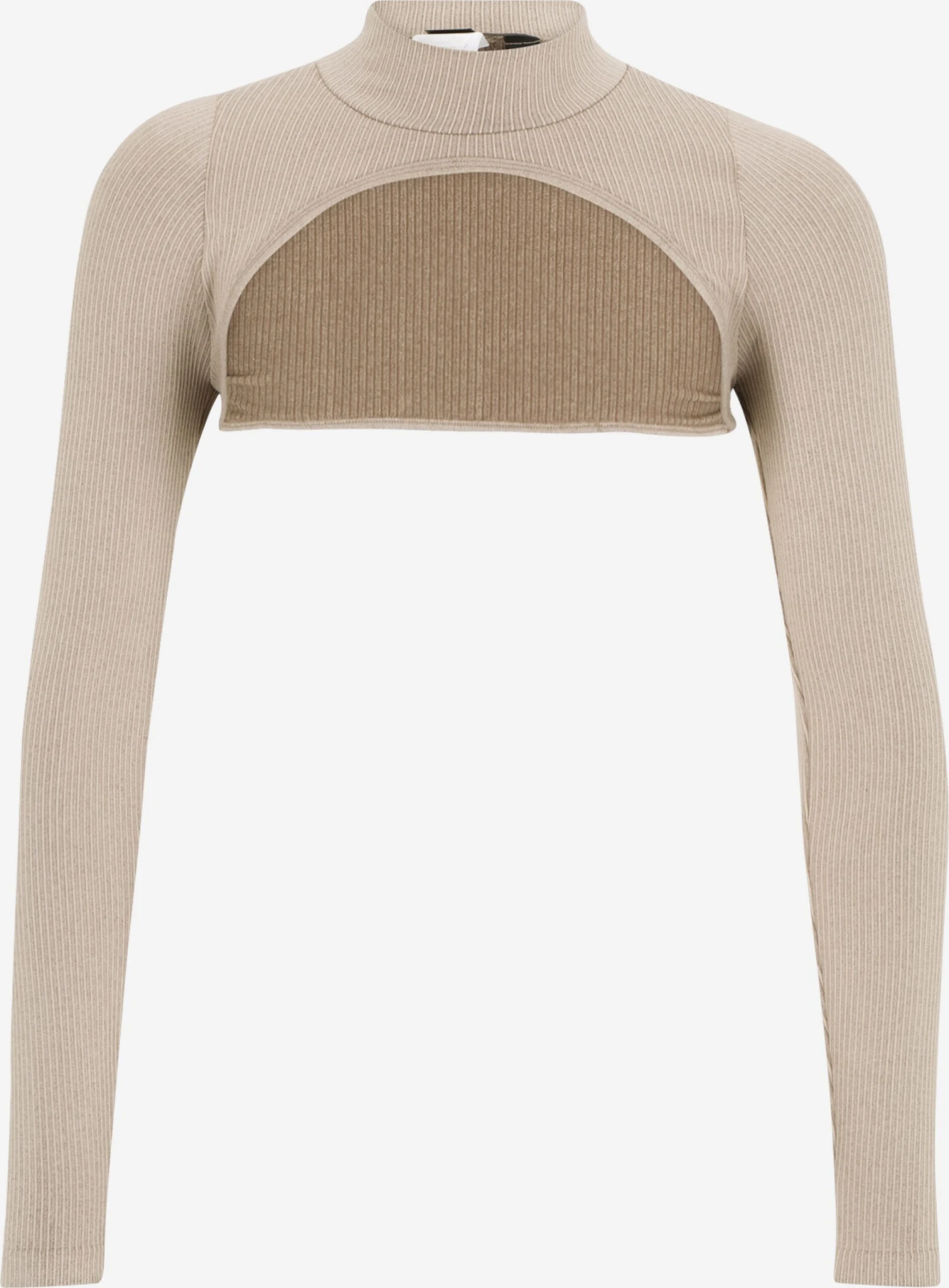 Longsleeves Functioneel Shirt Dynamic Dames Taupe 3 Longsleeves Functioneel Shirt Dynamic Dames Taupe