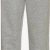 Jordan Trainingsbroeken Regular Sportbroek Jumpan Dames Grijs 2 Jordan Trainingsbroeken Regular Sportbroek Jumpan Dames Grijs -Sportieve Outfit Winkel 450e6b6d9494b7ac6b2547b66956d78f