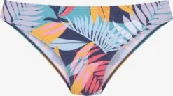 Bikinis Sport Bikinibroek Dames Blauw / Lichtblauw