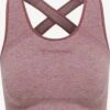 Hummel High Support Bustier Sport Bh Dames Donkerroze 1 Hummel High Support Bustier Sport Bh Dames Donkerroze -Sportieve Outfit Winkel b3fd88c36ca94a4a3b9f8269db28eedd