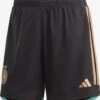 ADIDAS PERFORMANCE Shorts Regular Sportbroek Authentic Dames Zwart -Sportieve Outfit Winkel f7aed9d58f1ade797d09d26569a1374a